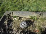 image of grave number 660251